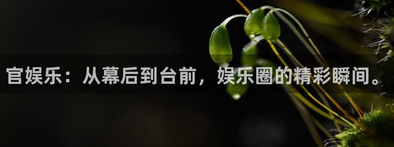 www.彩神体育.com：官娱乐：从幕后到台前，娱乐圈的精彩瞬间。
