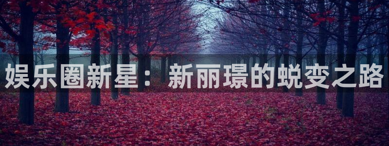东莞市彩神电子科技有限公司：娱乐圈新星：新丽璟的蜕变之路