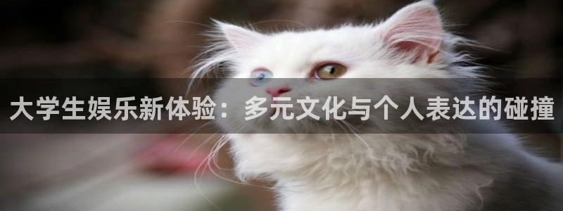 彩神集团官网：大学生娱乐新体验：多元文化与个人表达的碰撞