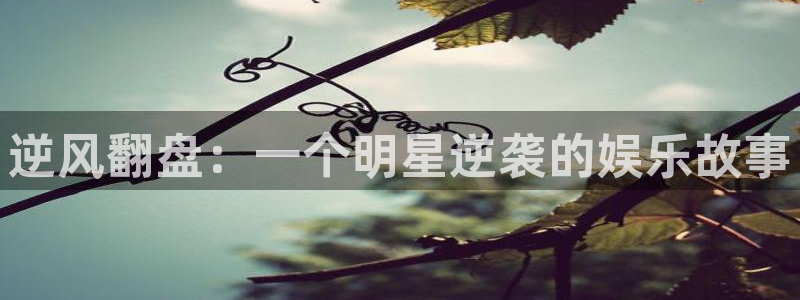 彩神4开户：逆风翻盘：一个明星逆袭的娱乐故事
