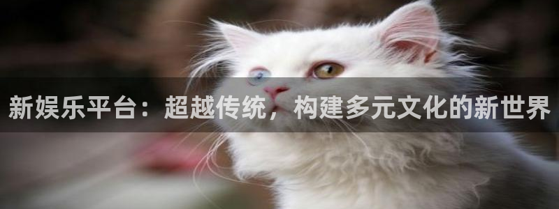 彩神凯捷平台注册链接：新娱乐平台：超越传统，构建多元文化的新世界