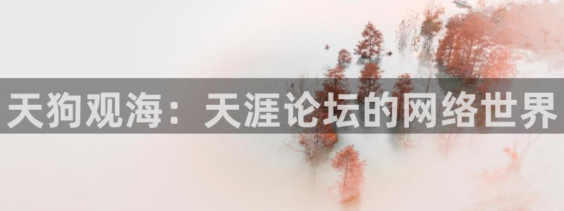 彩神平台注册：天狗观海：天涯论坛的网络世界
