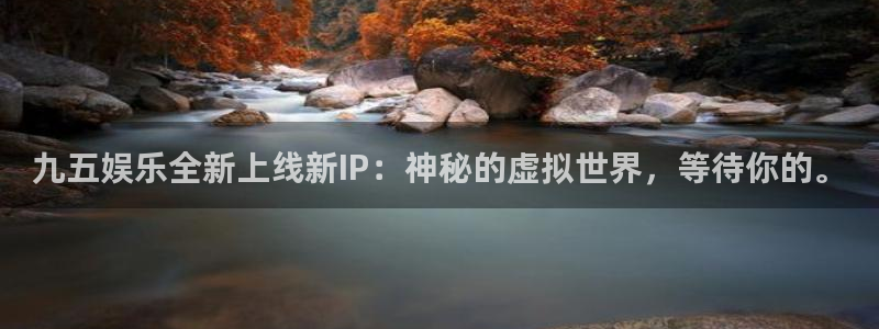 彩神2平台：九五娱乐全新上线新IP：神秘的虚拟世界，等待你的。