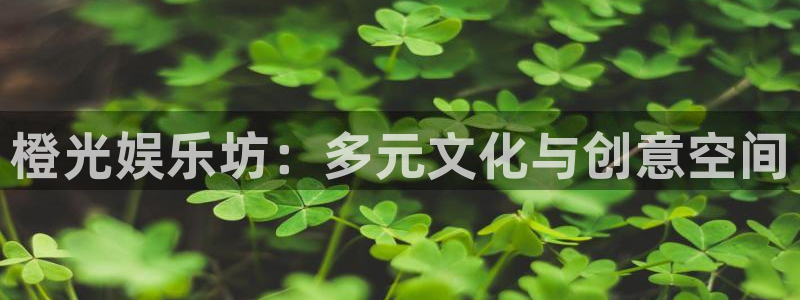彩神平台开户：橙光娱乐坊：多元文化与创意空间