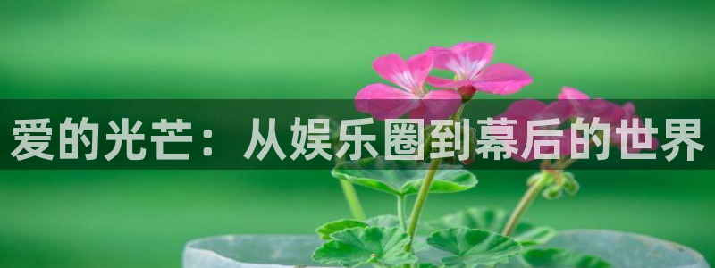 彩神体育免费注册入口：爱的光芒：从娱乐圈到幕后的世界