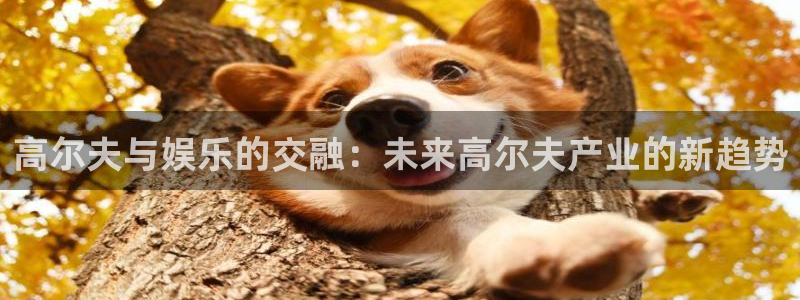 彩神2登录地址：高尔夫与娱乐的交融：未来高尔夫产业的新趋势