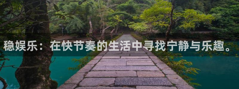 彩神零能源集团：稳娱乐：在快节奏的生活中寻找宁静与乐趣。