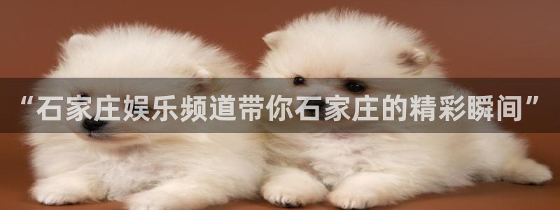 彩神集团：“石家庄娱乐频道带你石家庄的精彩瞬间”