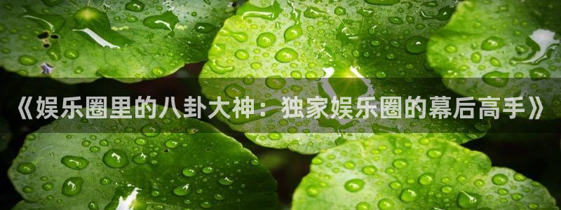 彩神凯捷开号链接：《娱乐圈里的八卦大神：独家娱乐圈的幕后高手》