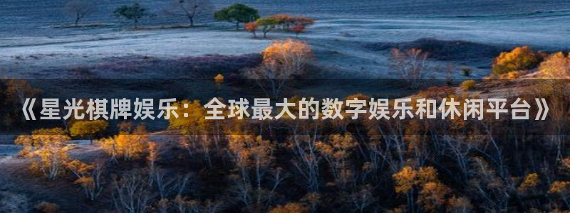 彩神主管：《星光棋牌娱乐：全球最大的数字娱乐和休闲平台》
