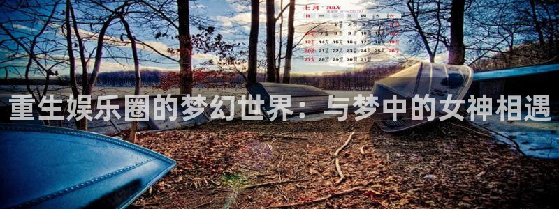 彩神集团总部：重生娱乐圈的梦幻世界：与梦中的女神相遇