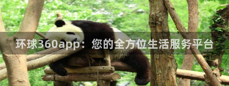 德国彩神集团：环球360app：您的全方位生活服务平台