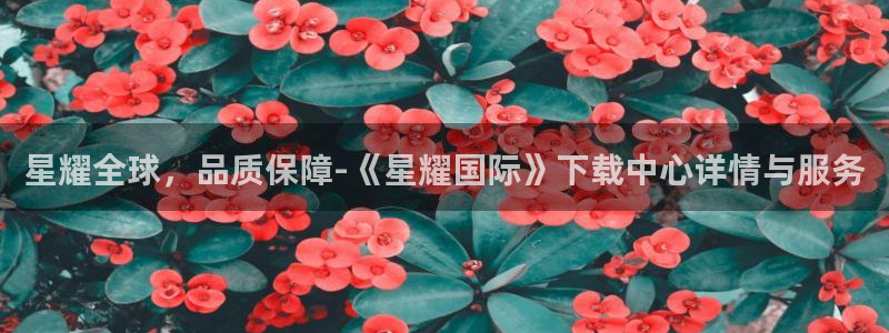 彩神体育凯捷平台注册：星耀全球，品质保障-《星耀国际》下载中心详情与服务