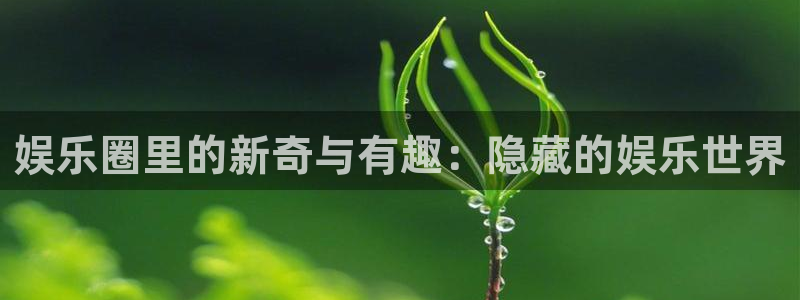 彩神平台主管：娱乐圈里的新奇与有趣：隐藏的娱乐世界