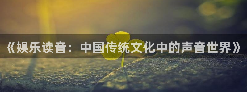 彩神体育2：《娱乐读音：中国传统文化中的声音世界》