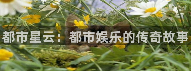 福建彩神机电股份公司：都市星云：都市娱乐的传奇故事