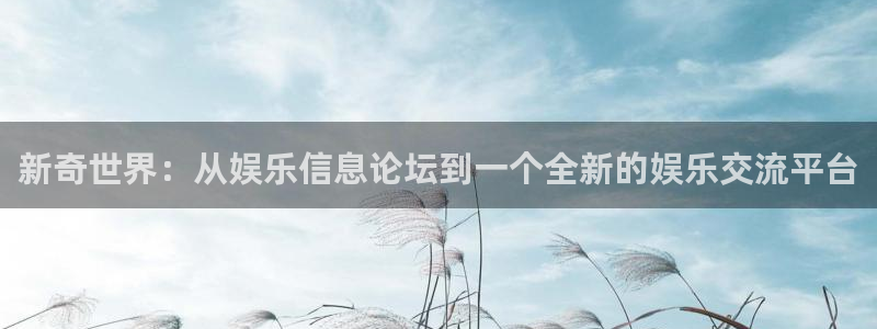 彩神平台：新奇世界：从娱乐信息论坛到一个全新的娱乐交流平台